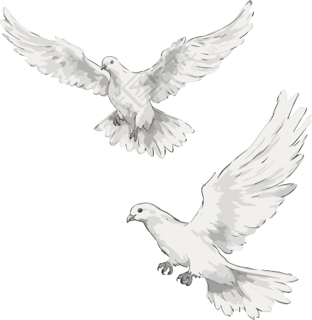 传统姿势的双鸟透明PNG图形素材