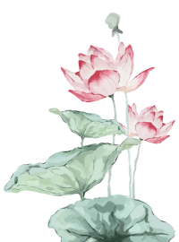 手绘唯美荷花处暑节气插画素材