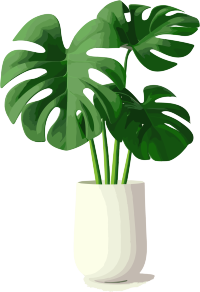 3D透明背景独立蕨叶素材