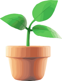 绿色植物盆透明背景插画