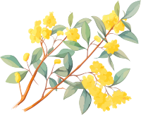 日式风格多彩动画静帧黄色桉树枝叶花素材