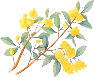 日式风格多彩动画静帧黄色桉树枝叶花素材