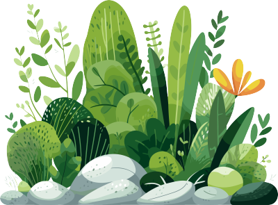 植物与岩石插画素材