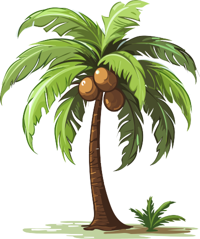 可商用透明背景椰子树矢量插画素材