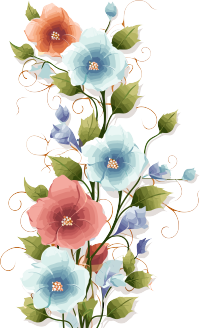 花藤矢量插画设计