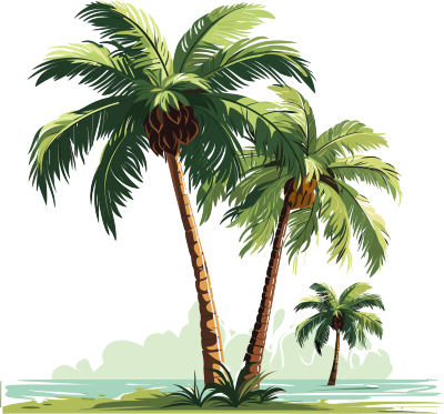 可商用PNG透明背景椰子树高清插画设计元素