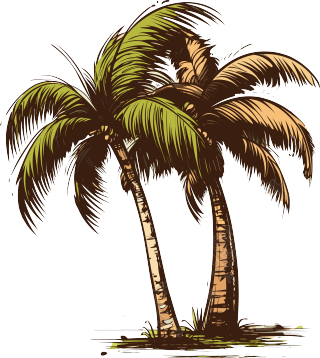 可商用的一棵椰子树插画设计