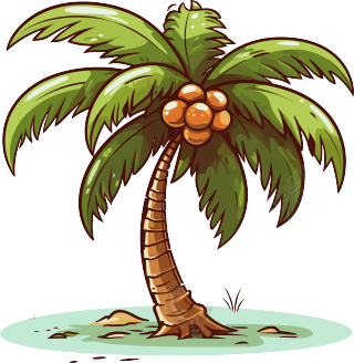 椰子树插画设计