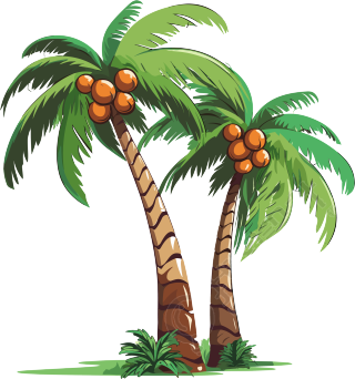矢量插画椰子树元素
