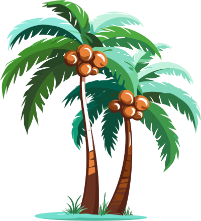 向量插画-椰子树元素