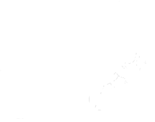 手绘站立的狮子简约线条PNG插画