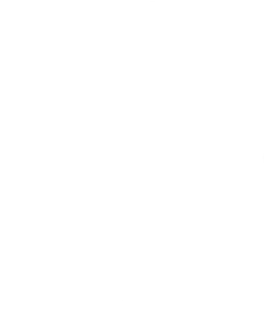 手绘大树简约线条PNG插画