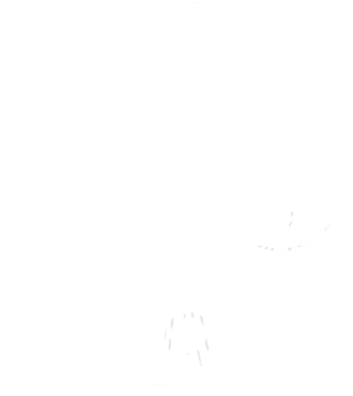 手绘大树简约线条PNG插画