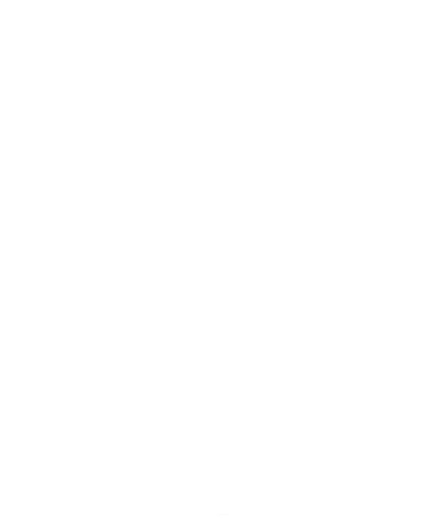 手绘狮子简约线条PNG插画