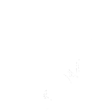 手绘狮子简约线条PNG插画