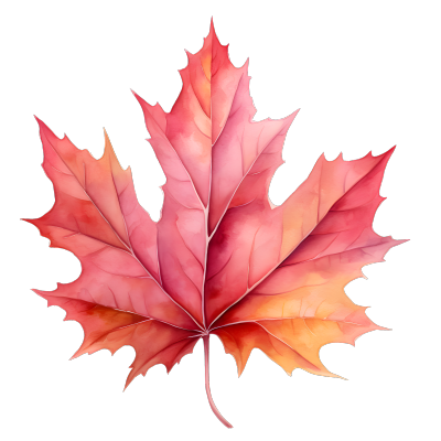 白底上的秋天枫叶元素插画