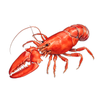 高清可商用小龙虾海鲜插画设计元素