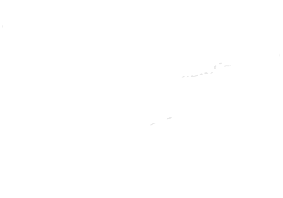 手绘鲸鱼简约线条PNG插画