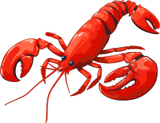 水彩绘制的白底红色龙虾元素