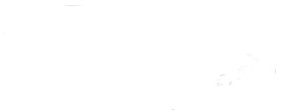 手绘海洋哺乳动物鲸鱼简约线条PNG插画
