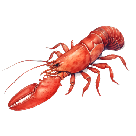 高清创意商业白底小龙虾插画设计元素