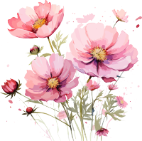 可商用水彩画格桑花PNG元素
