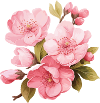 粉色花朵蕾丝与叶子矢量插图