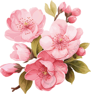 粉色花朵蕾丝与叶子矢量插图