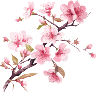 粉色樱花透明背景图形素材