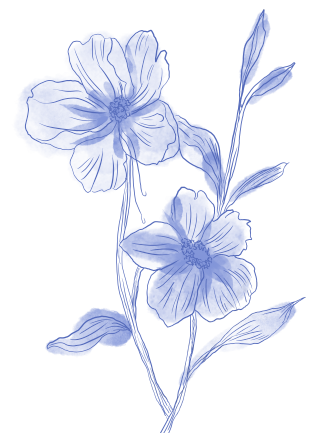 手绘线条蓝色的花插画