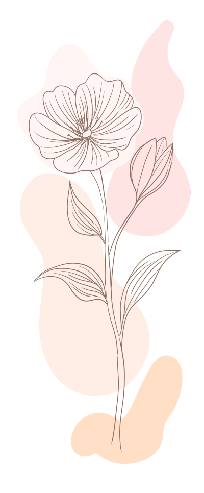 一支唯美的线条花朵PNG插画