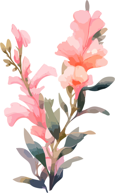 复兴历史艺术风格的粉色花卉水彩插画元素