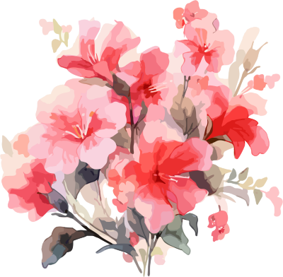 红粉花卉水彩画白色背景元素