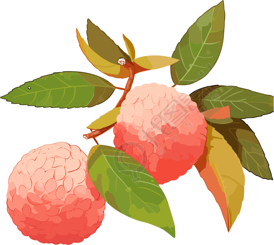 粉橙色荔枝图案PNG素材