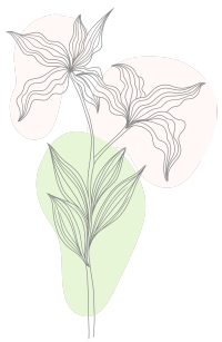 手绘抽象线条百合花PNG元素