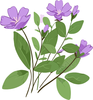 紫色花朵绿叶扁平插画白底元素