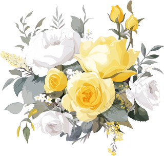 白黄色绘制的玫瑰花素材