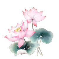 水彩插画莲花绽放透明背景元素