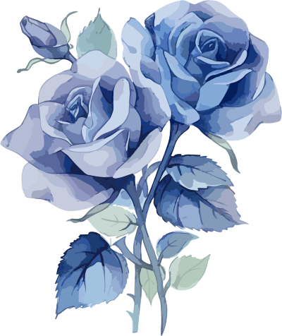 蓝色玫瑰水彩平面设计插画白底