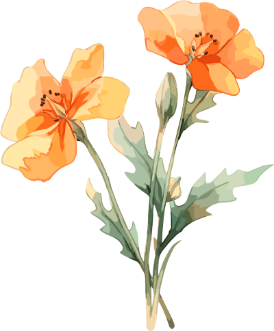水彩白底橙色花卉插画元素