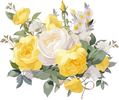 白黄玫瑰花插画设计