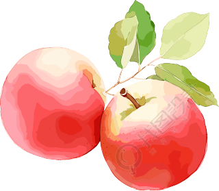 两个红苹果的水彩画PNG元素