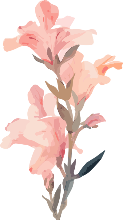 粉色花卉水彩插画元素