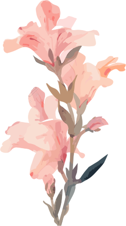 粉色花卉水彩插画元素