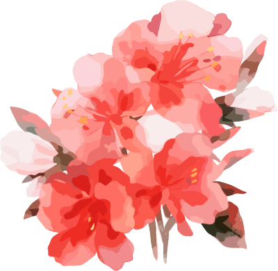 高清红粉水彩花卉插画设计元素