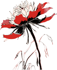 中国艺术风格的黑白花卉插画