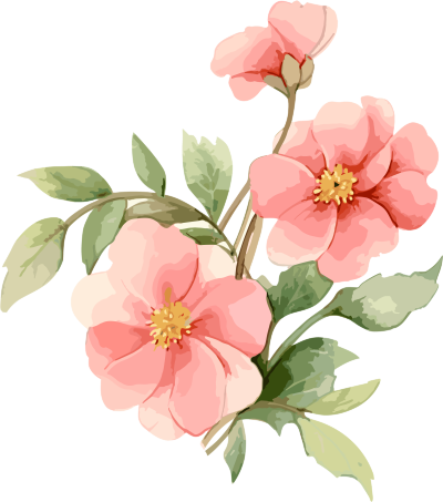 复古风格水彩插画：两朵粉色花朵与叶子