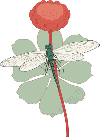 透明背景蜻蜓花朵创意插画