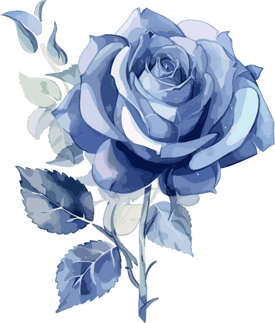 蓝色玫瑰水彩平面设计插画白底