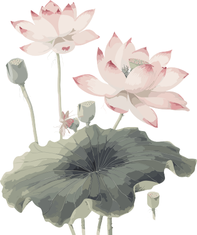 中国画风格花卉蝴蝶素描元素